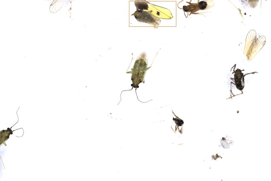 Image 10